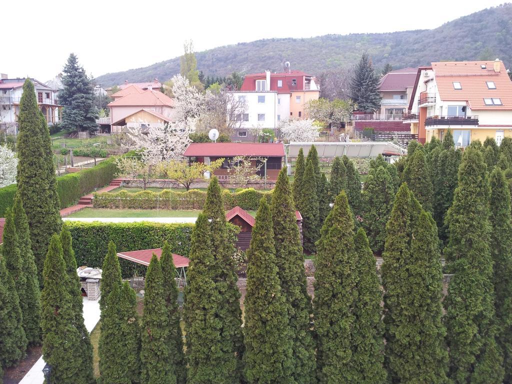 Bed and Breakfast Agi Panzio Obuda Budapest Exterior foto
